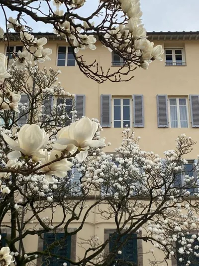 Maison Deco - Timeless elegance – 照片 14